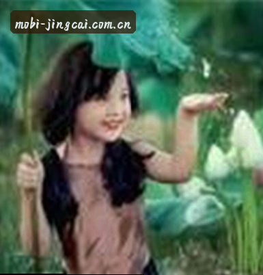 李哥
