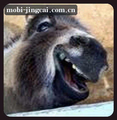 王姐